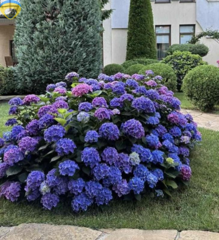 продажа двухкомнатной квартиры номер A-174131 в Малиновском районе, фото номер 6